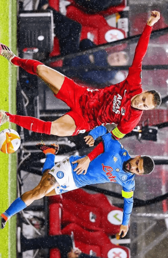 尔米诺充满 尔米诺充满